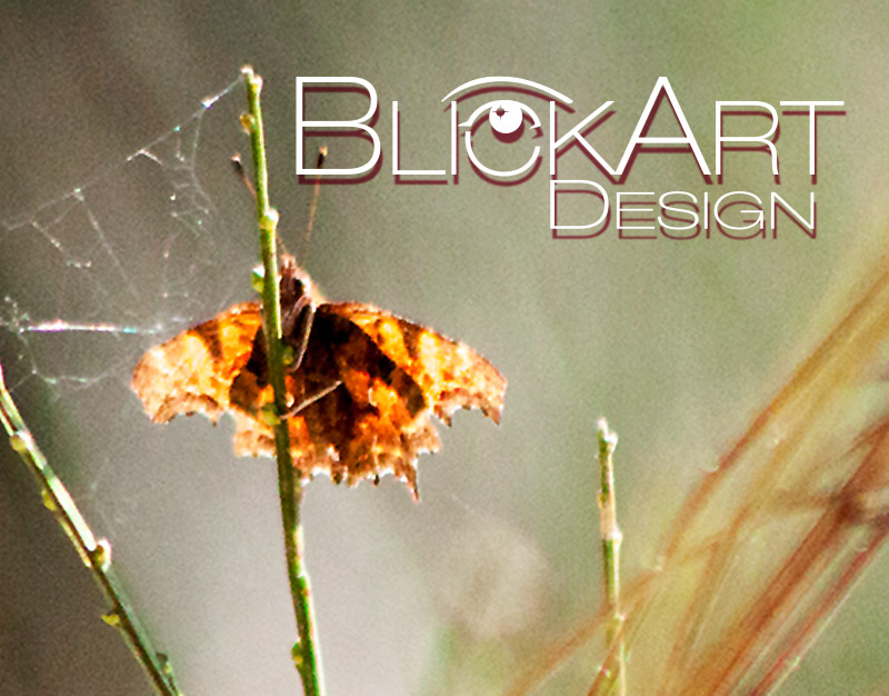 BlickArt Design Hachenburg